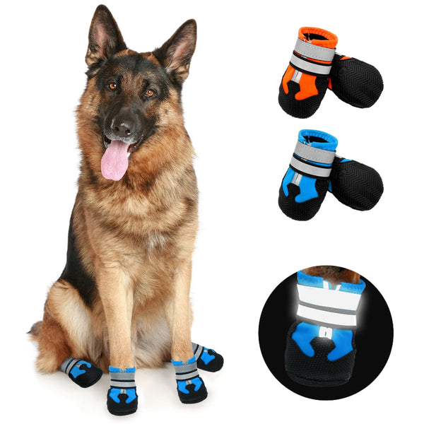 Zapatos para Perro
