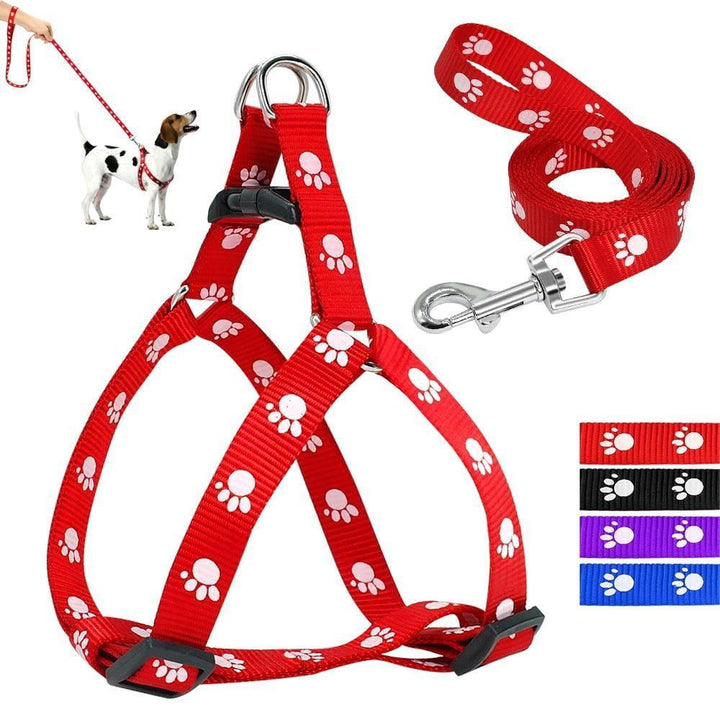 Pack Arnés + Correa para Perro