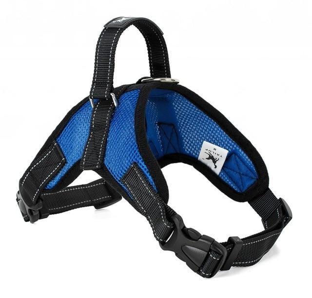 Arnés para perro Confort Fit