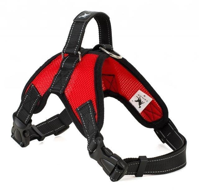 Arnés para perro Confort Fit