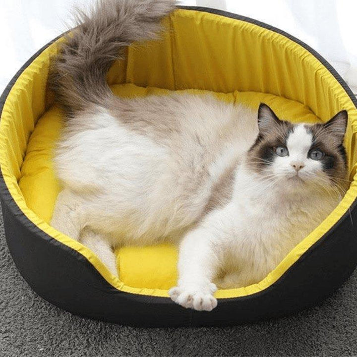 Cama para Perro 3D