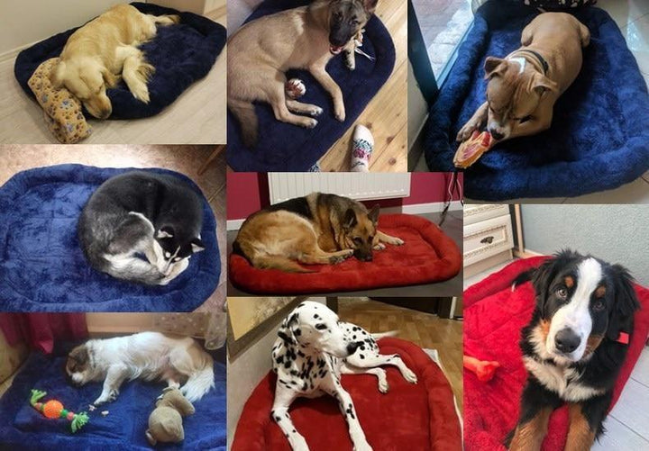 Cama con Yagu para Perro