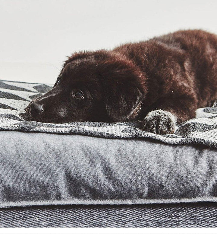 Cama King Size - MascotaGadget.com