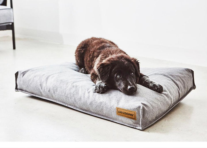 Cama King Size - MascotaGadget.com