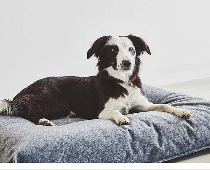 Cama King Size - MascotaGadget.com