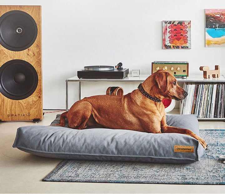 Cama King Size - MascotaGadget.com