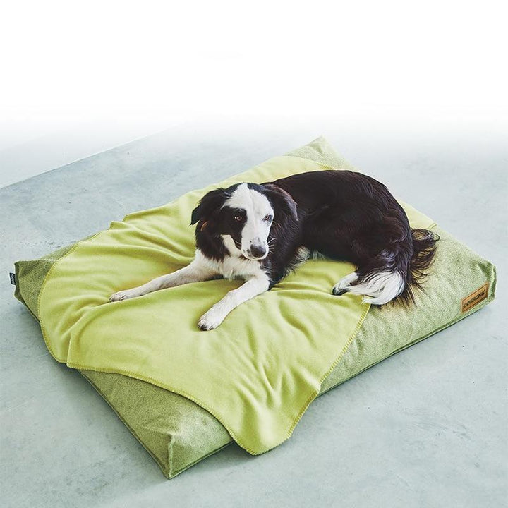 Cama King Size - MascotaGadget.com