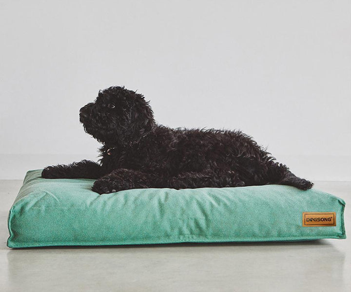 Cama King Size - MascotaGadget.com