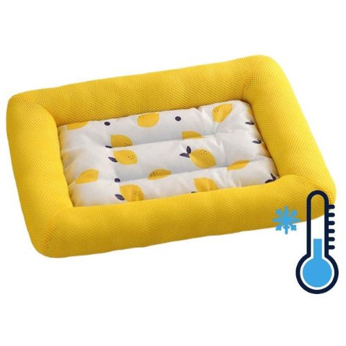 Cama de verano para perro
