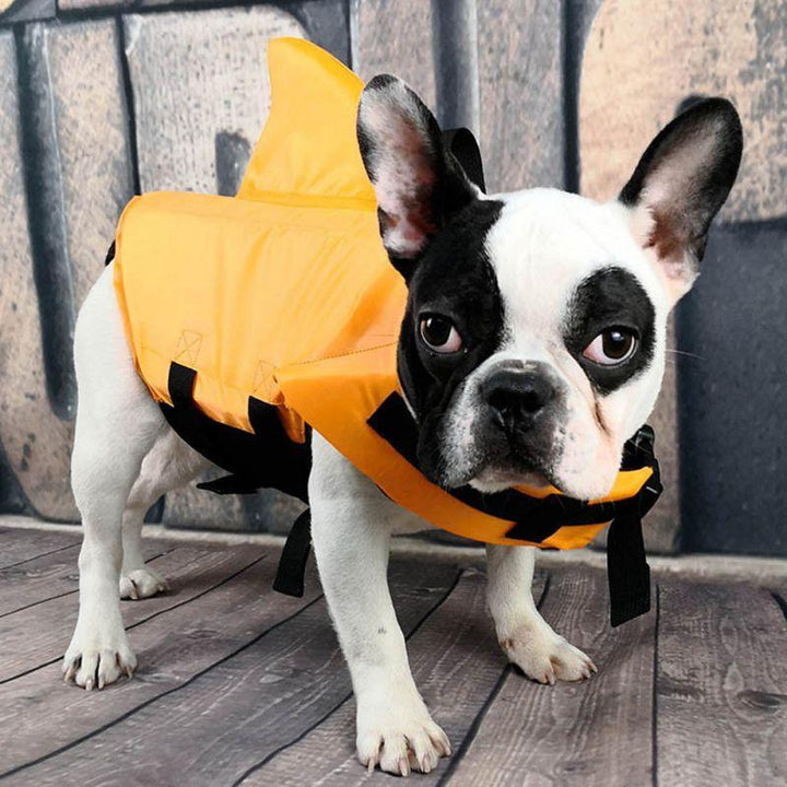 Chaleco Salvavidas Aleta de Tiburón - MascotaGadget.com