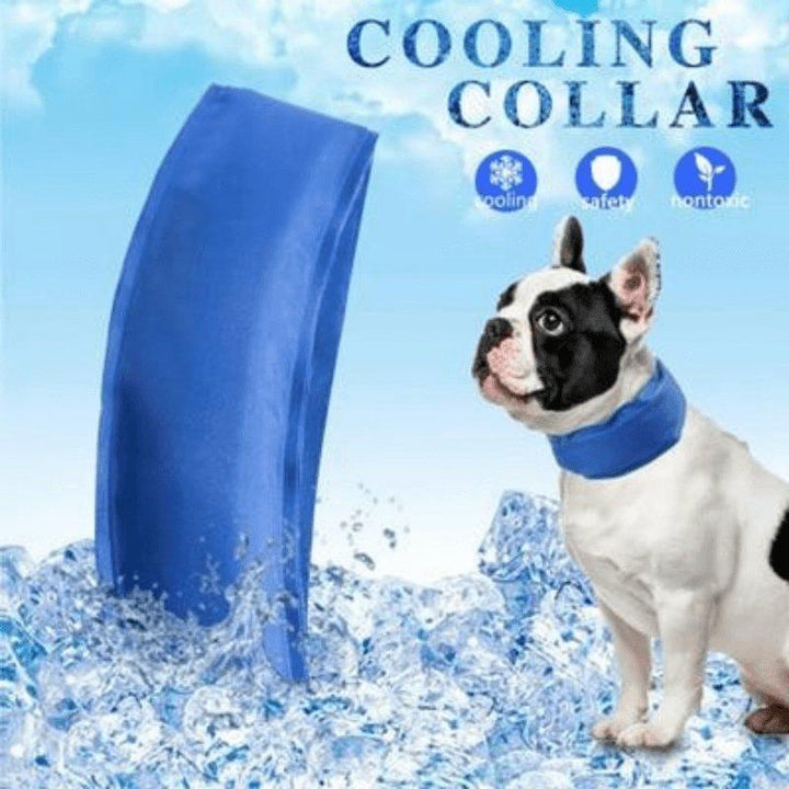 Collar Efecto Hielo - MascotaGadget.com