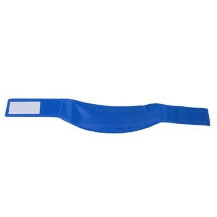 Collar Efecto Hielo - MascotaGadget.com