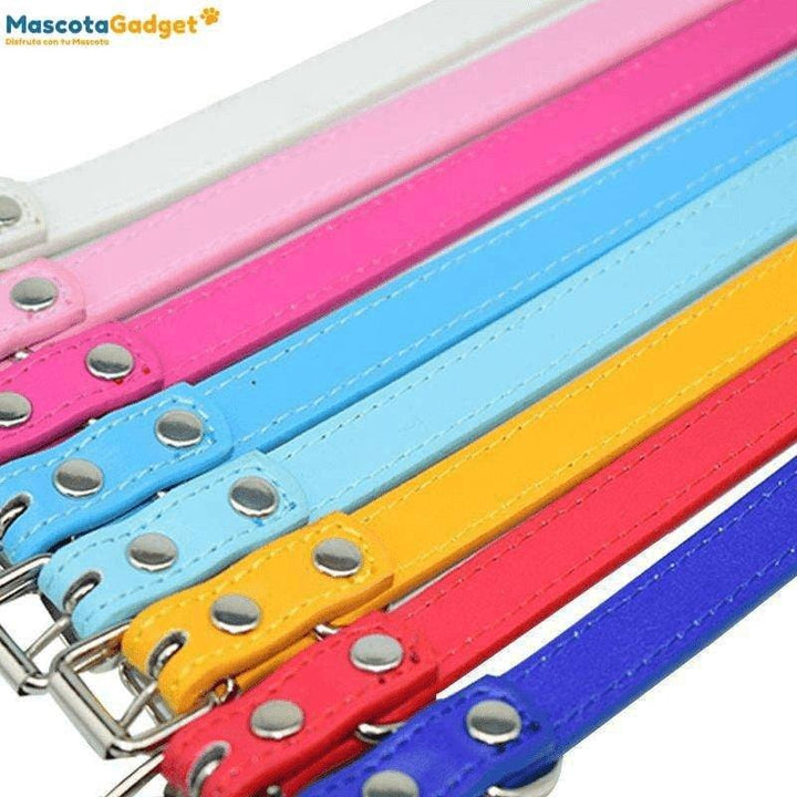 Collar elegante de piel - MascotaGadget.com