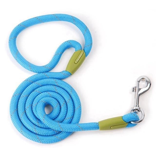 Correa de Nylon Husty 120 cm - MascotaGadget.com