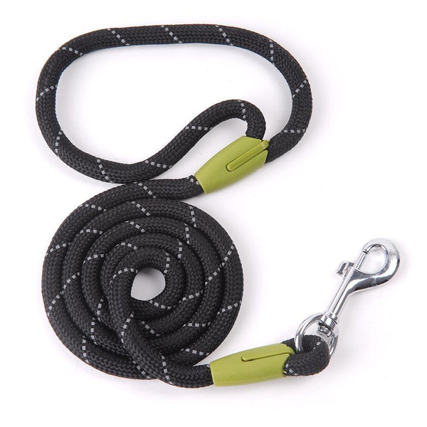 Correa de Nylon Husty 120 cm - MascotaGadget.com