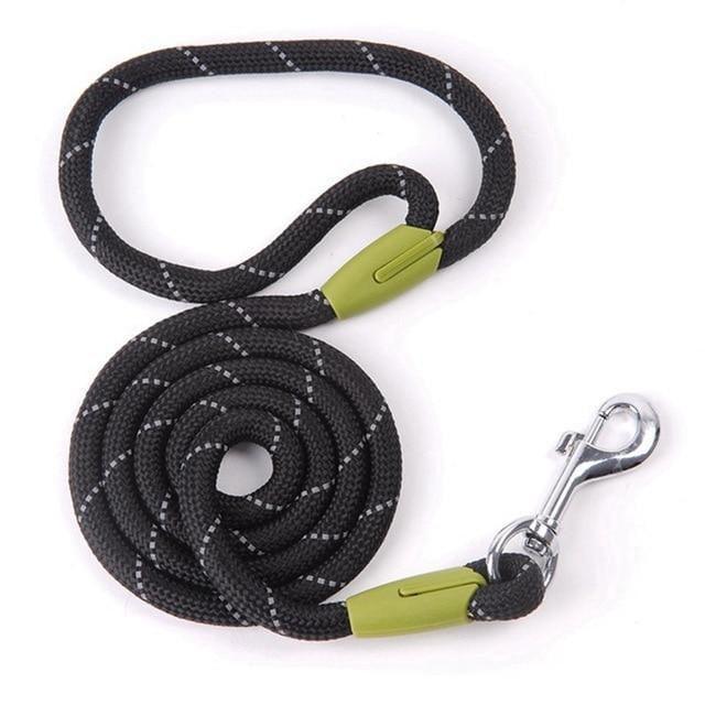 Correa de Nylon Husty 120 cm - MascotaGadget.com