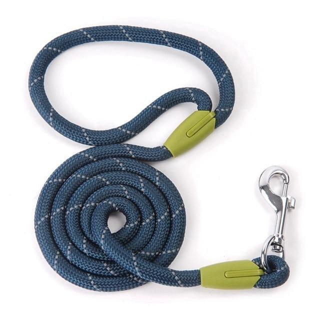 Correa de Nylon Husty 120 cm - MascotaGadget.com