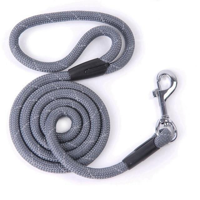 Correa de Nylon Husty 120 cm - MascotaGadget.com