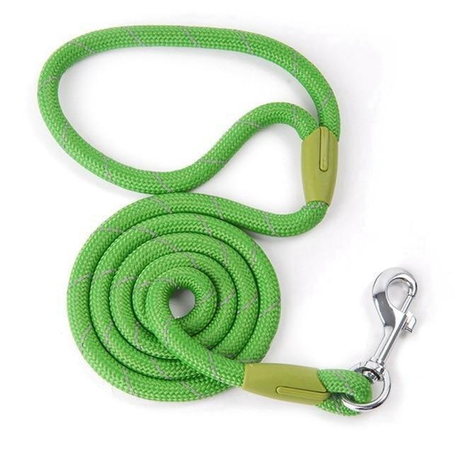 Correa de Nylon Husty 120 cm - MascotaGadget.com