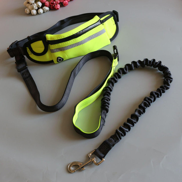 Correa Running - Manos Libres - MascotaGadget.com