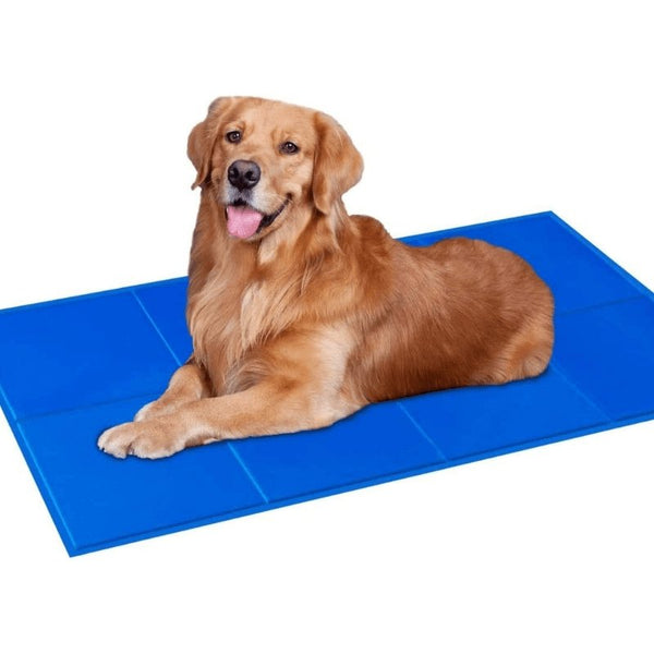 Esterilla Gel Efecto Hielo - MascotaGadget.com