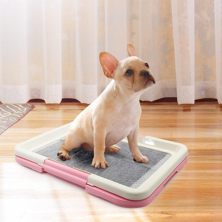 Inodoro para Mascotas