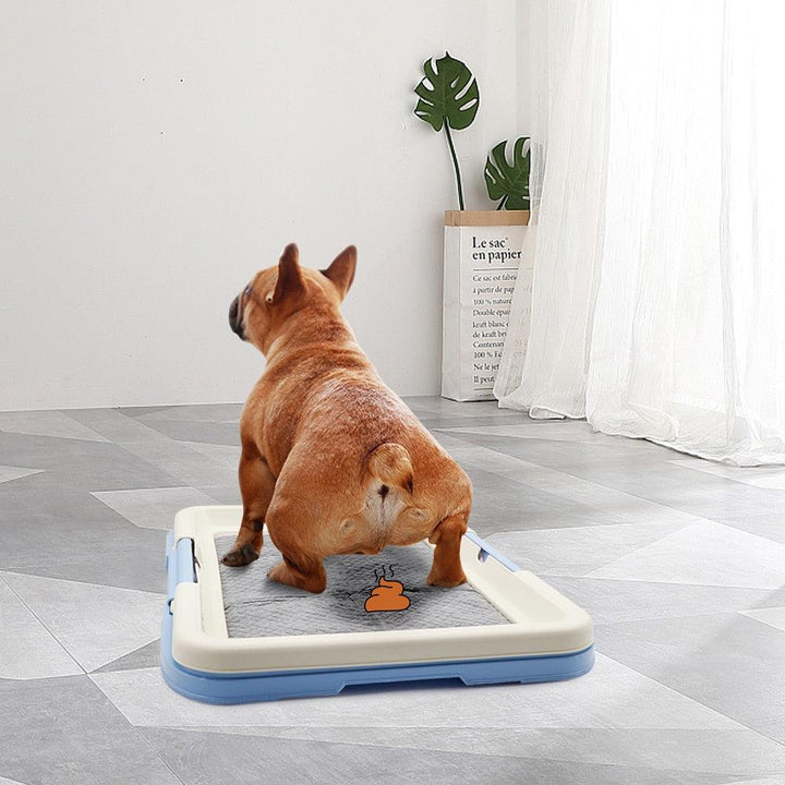 Inodoro para Mascotas
