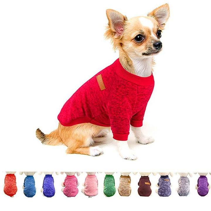 Jersey FunDog - MascotaGadget.com