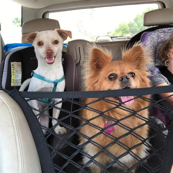 Maya seguridad Coche - MascotaGadget.com