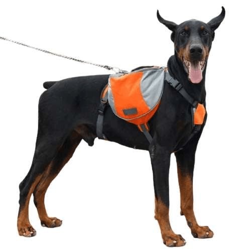 Mochila de Perro - MascotaGadget.com