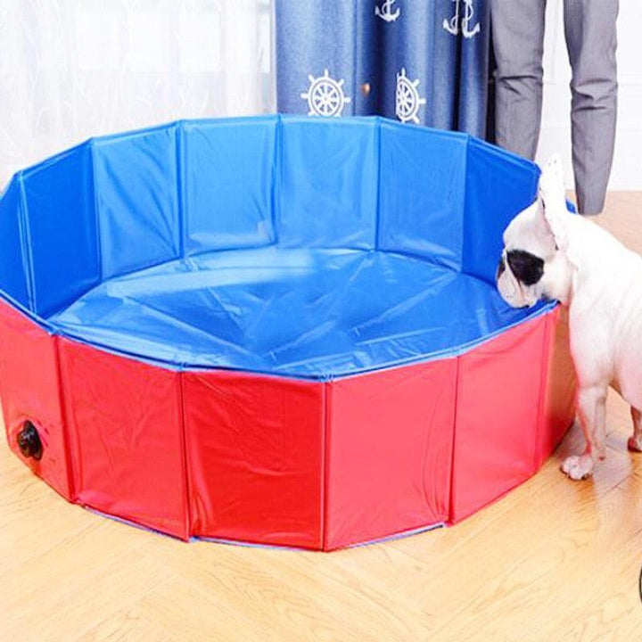 Piscina para Mascota