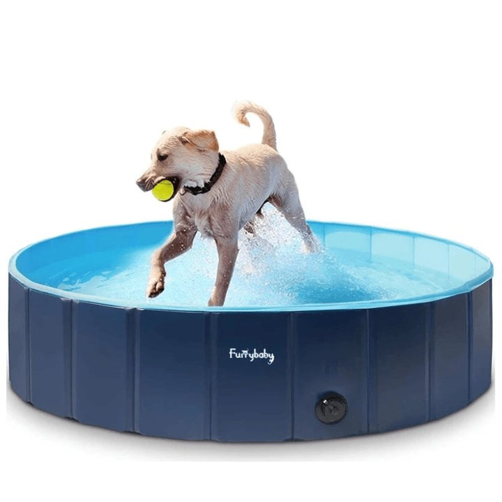 Piscina para Mascota