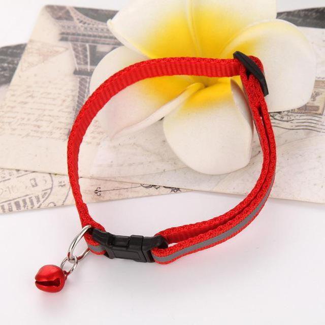Collar con cascabel - MascotaGadget.com