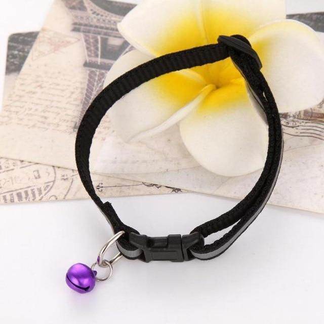 Collar con cascabel - MascotaGadget.com
