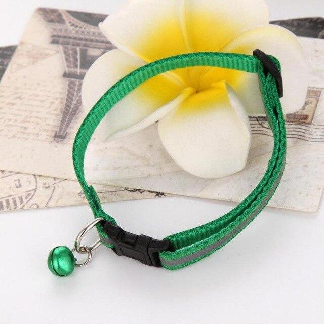 Collar con cascabel - MascotaGadget.com