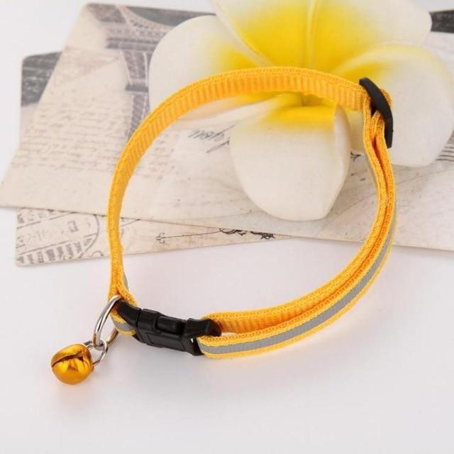 Collar con cascabel - MascotaGadget.com