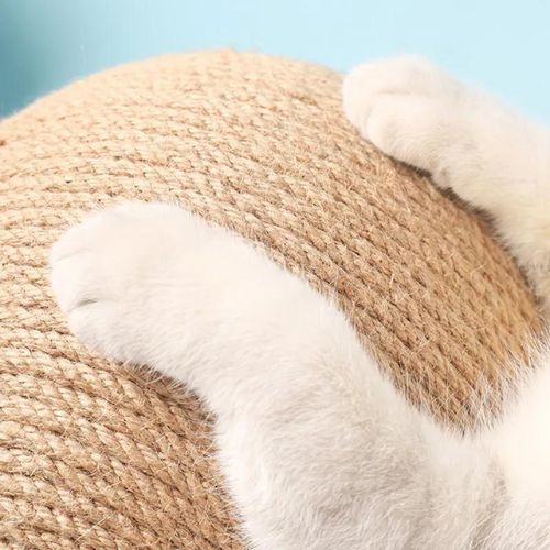 Bola Rascadora para Gatos